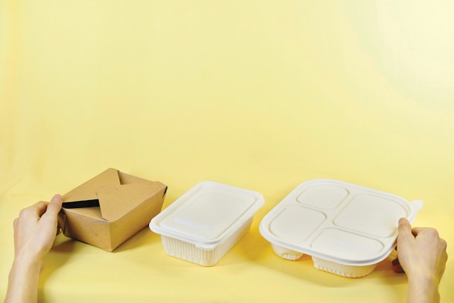 the future of biodegradable boxes